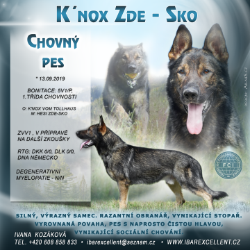Knox Zde-Sko