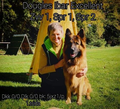 Dougles Ibar Excellent